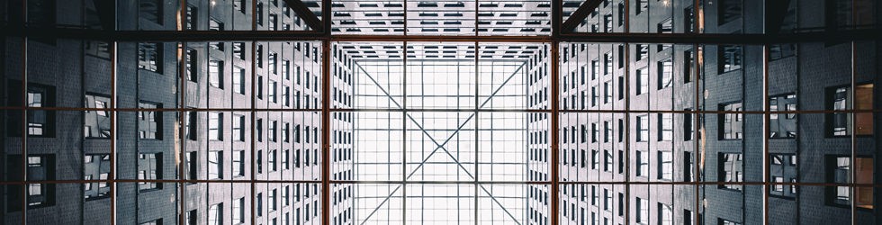 55.jpg